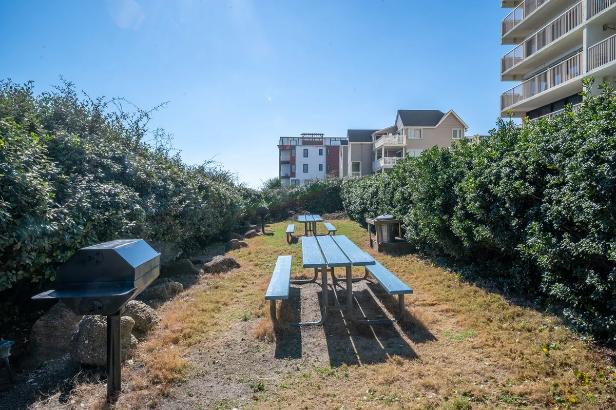 A cheerful outdoor grilling and picnic area with picnic tables, a grill, and surrounding greenery creates a welcoming space for social gatherings, family barbecues, and al fresco dining.